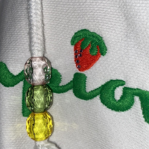 (ONLY WORN ONCE) Urban Outfitters Easter Champion hoodie w/ bedazzled✨ fruit🍉🍓 - Picture 8 of 8